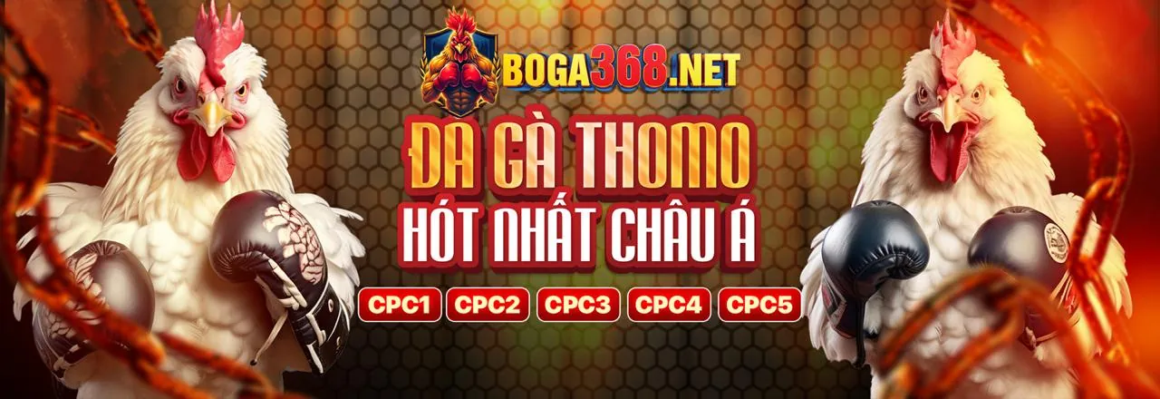 Khuyến mãi thành viên mới bibet
