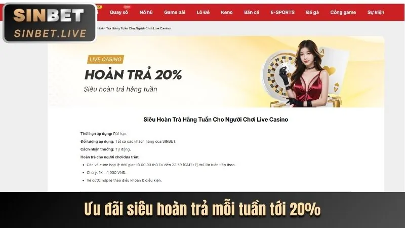 Trải nghiệm cá cược trực tiếp đầy kịch tính tại bibet đăng nhập